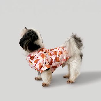 PIJAMAS-Batola_6892_Multicolor_2